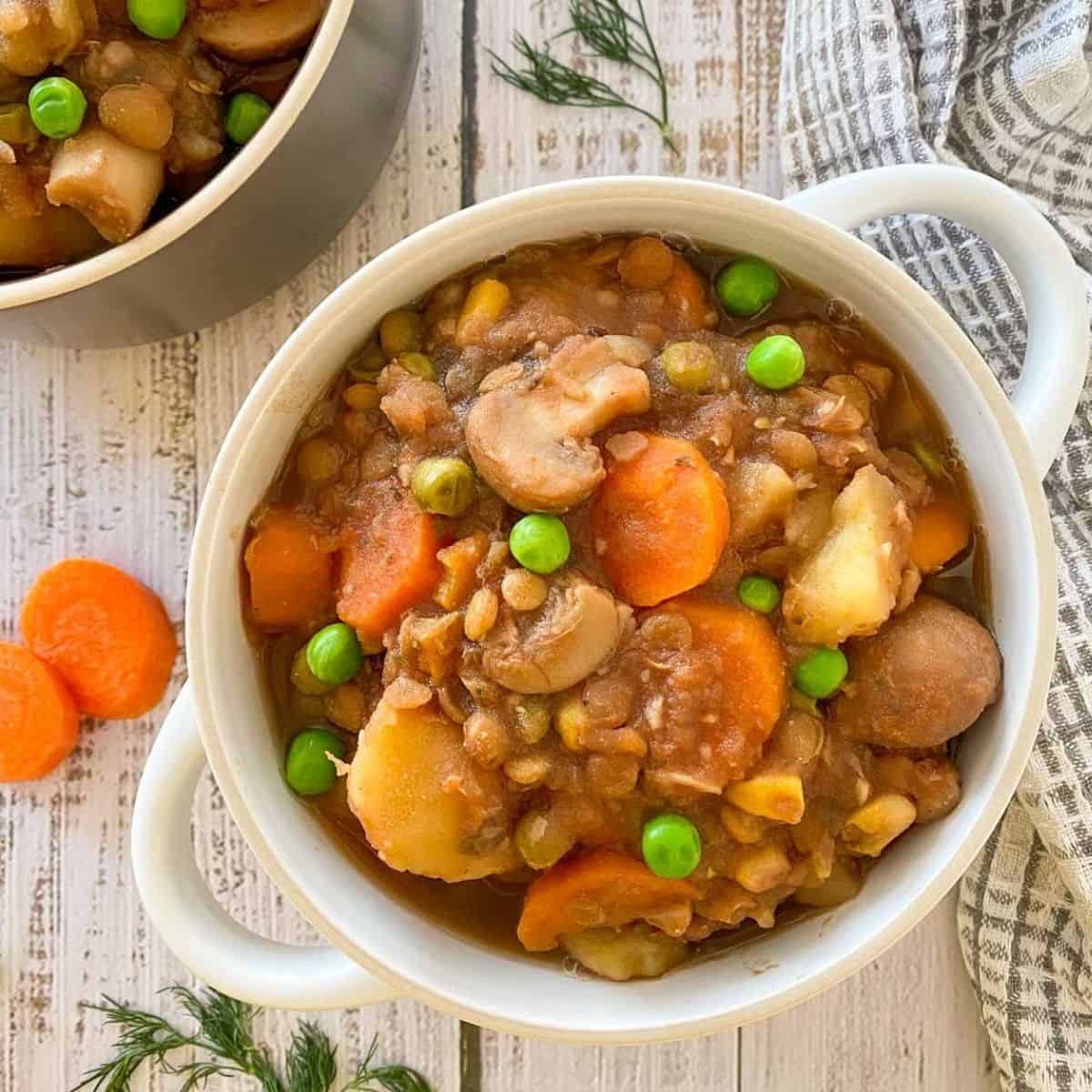 instant-pot-vegan-stew