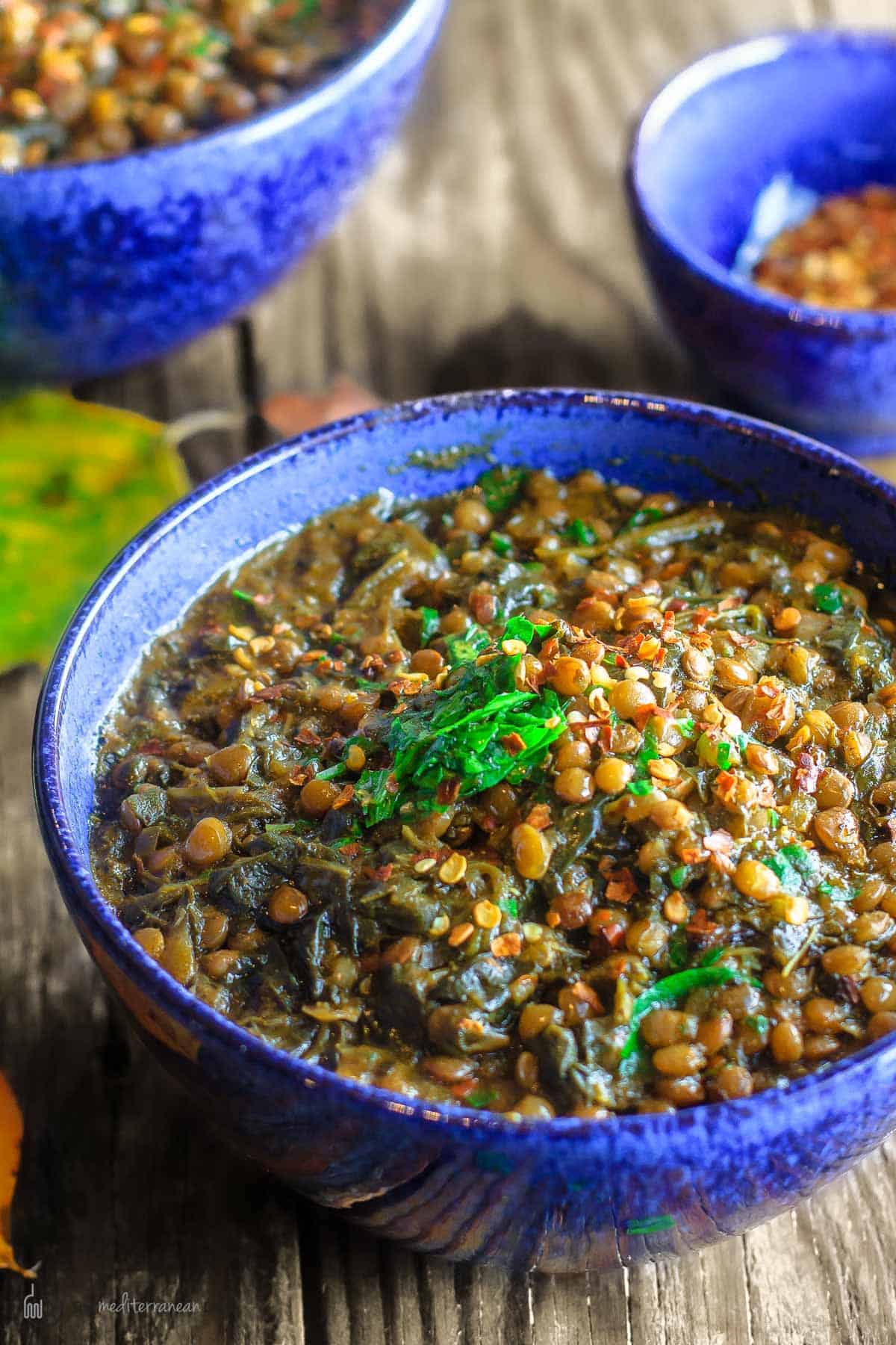 mediterranean-spicy-spinach-lentil-soup